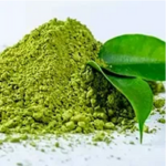  L-Theanine – Calming nootropic for stress-free focus