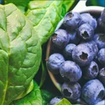 Quercetin is Natural antioxidant in Java Brain